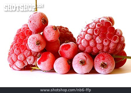 
                Beerenfrucht, Himbeere, Johannisbeeren                   