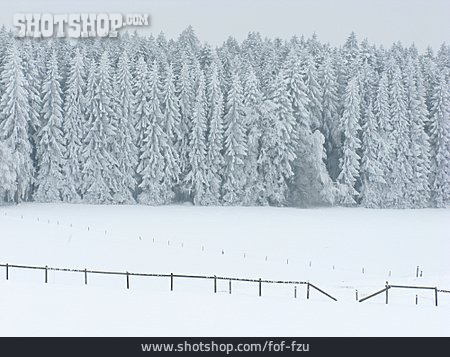 
                Winterlandschaft, Winterwald                   