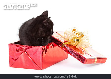 
                Katze, Weihnachtsgeschenk                   