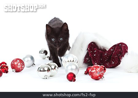 
                Katze, Weihnachtsdekoration, Katzenbaby                   