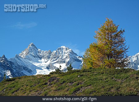 
                Walliser Alpen                   