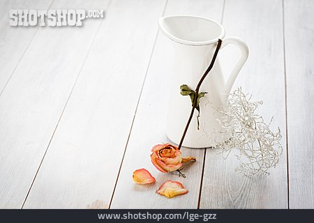 
                Vase, Stillleben                   