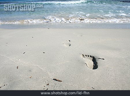 
                Fußabdruck, Sandstrand, Sandspur                   
