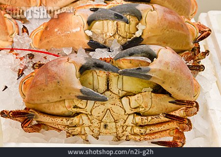 
                Krabbe                   