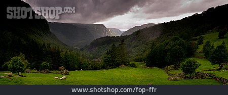 
                Gewitterwolke, Norwegen, Schafweide                   