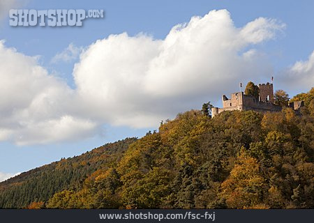
                Herbstwald, Burg Landeck, Klingenmünster                   