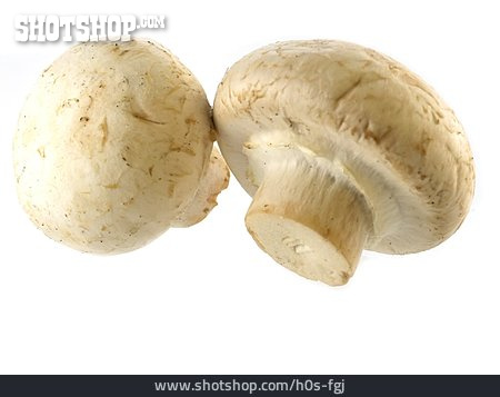 
                Pilz, Champignon                   