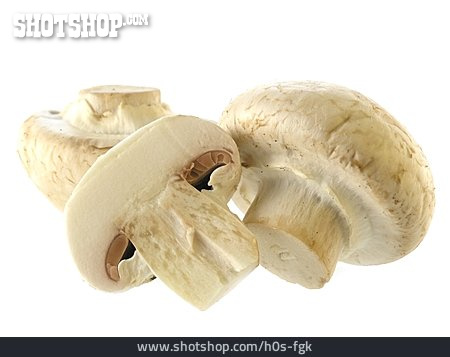 
                Pilz, Champignon                   