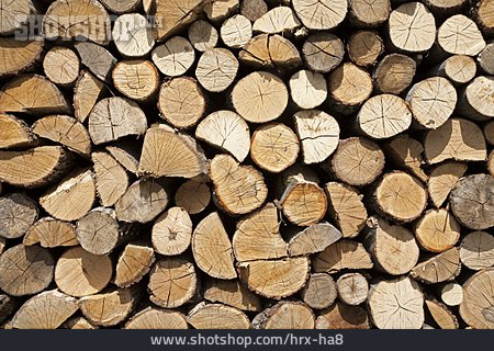 
                Holzwirtschaft, Brennholz, Feuerholz                   