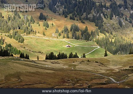 
                Alm, Berner Oberland, Simmental                   