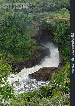 
                Uganda, Murchison Falls                   