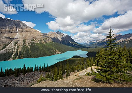 
                Rocky Mountains, Banff-nationalpark, Peyto Lake                   