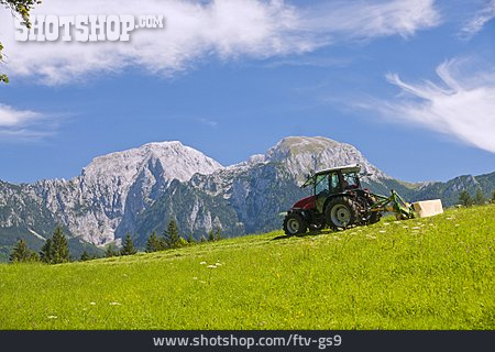 
                Landwirtschaft, Bayern, Berchtesgadener Land                   