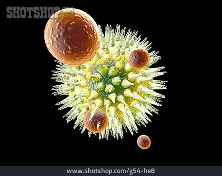 
                Antibody, Immune System, Medical Illustrations                   