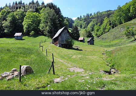 
                Schwarzwald, Heuschober, Heuhütte                   