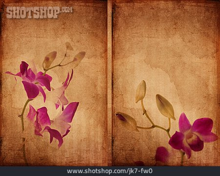 
                Retro, Papier, Orchideenblüte                   