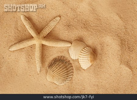 
                Sand, Muschel, Seestern, Maritim                   