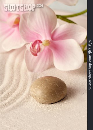 
                Sand, Kieselstein, Orchideenblüte                   