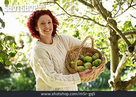 
                Frau, Apfelernte                   