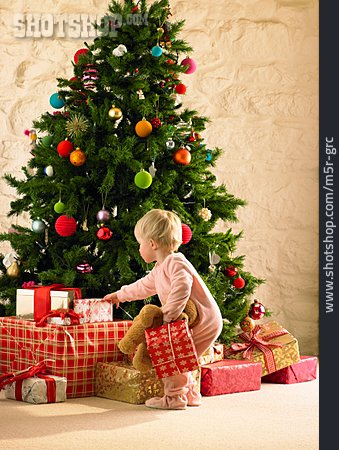 
                Toddler, Christmas, Christmas Tree                   