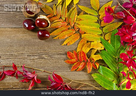 
                Herbst, Herbstlich, Naturmaterialien                   