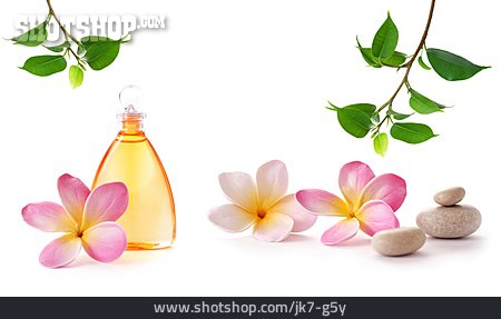 
                Beauty & Kosmetik, Massageöl, Aromatherapie                   