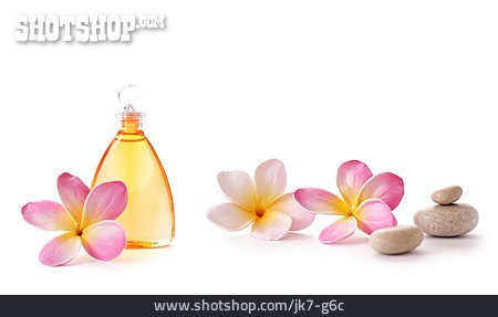 
                Beauty & Kosmetik, Massageöl, Aromatherapie                   