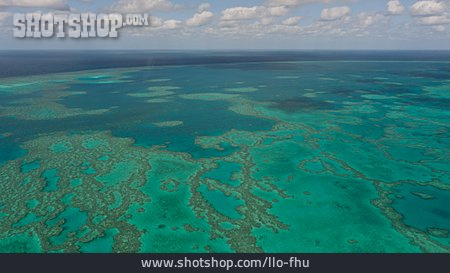 
                Korallenriff, Riff, Great Barrier Reef                   
