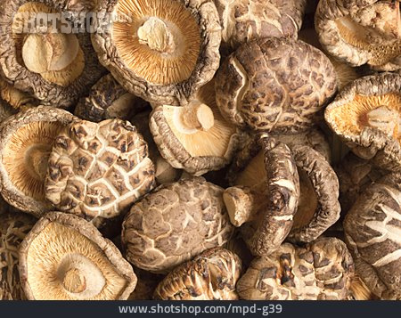 
                Mushroom, Shiitake                   