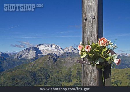 
                Alpen, Aussicht, Blumenschmuck                   