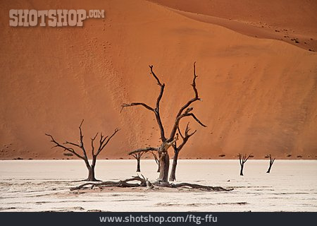 
                Dürre, Namib, Namib-naukluft-nationalpark                   