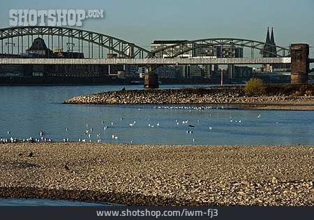 
                Köln, Rhein, Hohenzollernbrücke, Sandbank                   