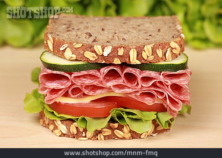 
                Sandwich                   