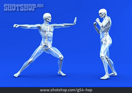 
                Kampfsport, Skelett, Anatomie, Gläserner Mensch                   