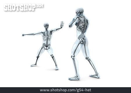
                Kampf, Skelett, Anatomie, Haltung                   