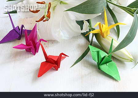
                Lilie, Origami, Papierkranich                   