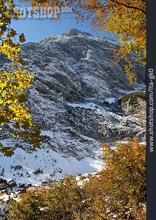 
                Gebirge, Buche, Laubbaum, Karwendel                   