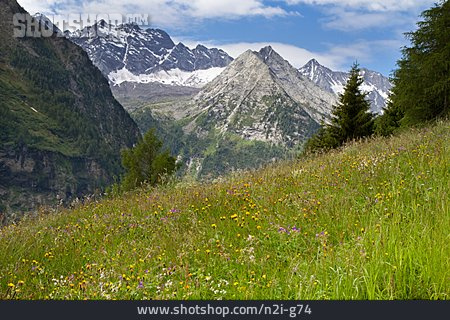
                Alpen, Berglandschaft, Alm                   