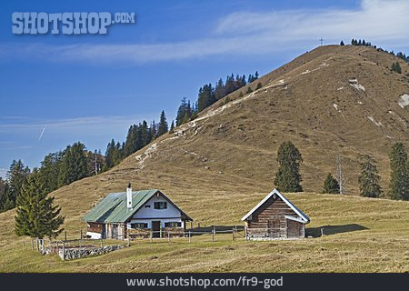 
                Mountain Lodge, Bavaria, Deer Horned Head                   