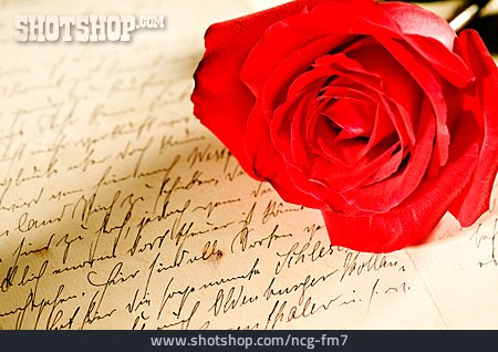 
                Rosenblüte, Liebesbrief, Schreibschrift                   