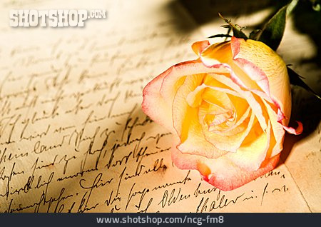 
                Rosenblüte, Liebesbrief, Schreibschrift                   
