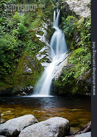 
                Wasserfall, Neuseeland, Catlins                   