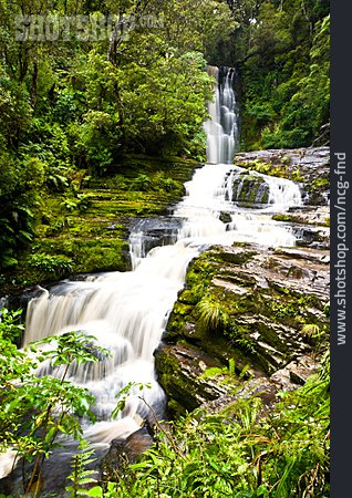 
                Wasserfall, Kaskade, Regenwald                   