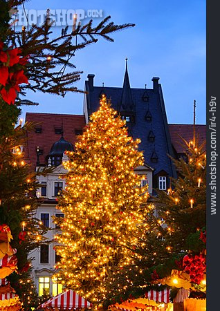 
                Leipzig, Weihnachtsbaum, Striezelmarkt                   