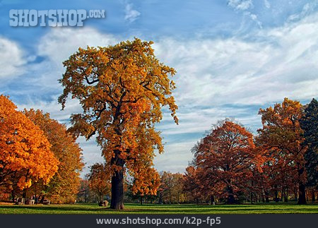 
                Park, Herbst, Gotha                   