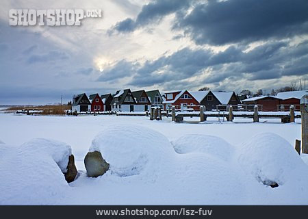 
                Schneebedeckt, Ostsee, Fischland-darß-zingst                   