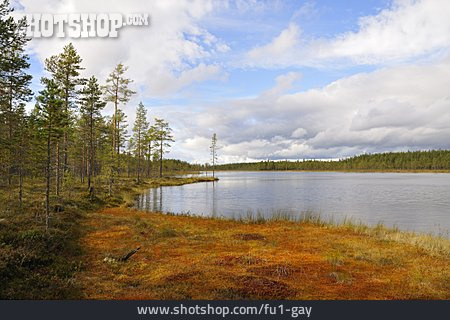 
                Schweden, Nationalpark Fulufjället                   