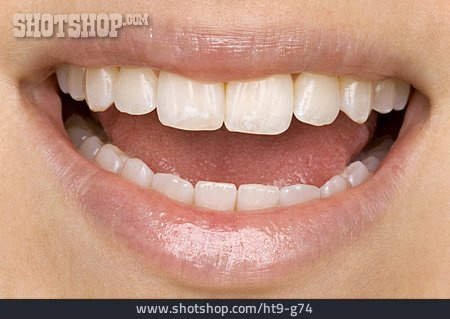 
                Mund, Zähne, Zahnpflege                   
