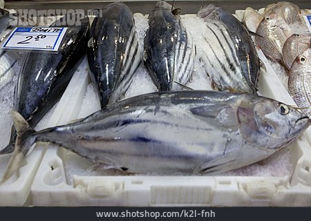
                Fischmarkt, Thunfisch, Speisefisch                   
