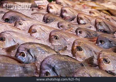 
                Fischmarkt, Speisefisch, Fischstand                   